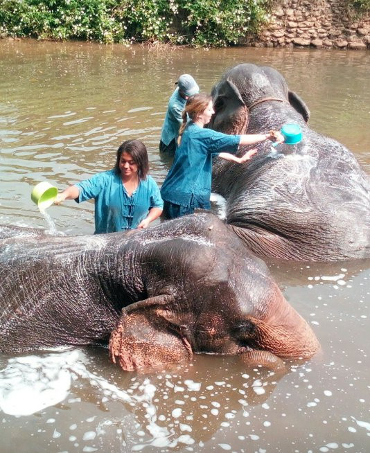 Pu Private Tours Chiangmai Thailand景点图片