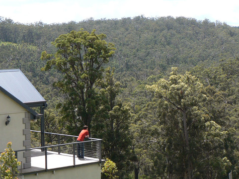 斯卡勒特森林度假屋主图