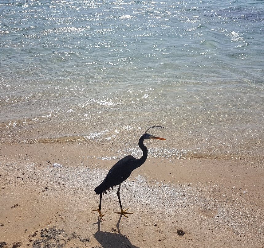 Marsa Alam Excursies-马萨阿拉姆必去景点