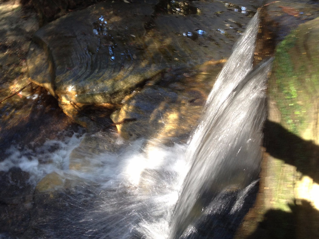 Kellys Falls Track-海伦斯堡必去景点