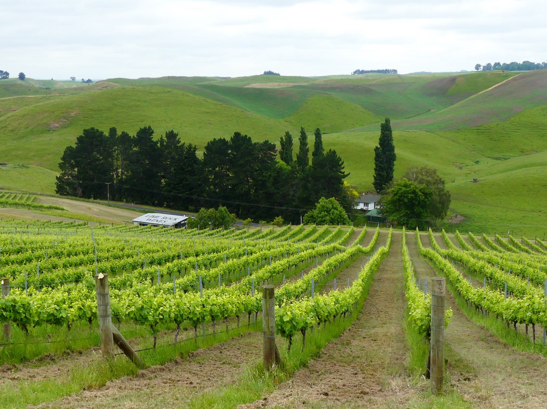 Lime Rock Wines-Waipawa必去景点
