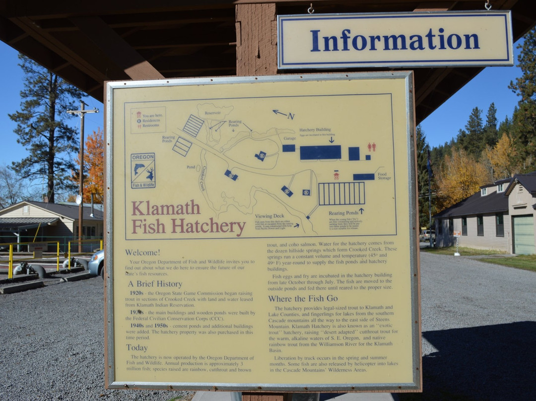 Klamath Fish Hatchery-克拉马斯福尔斯必去景点