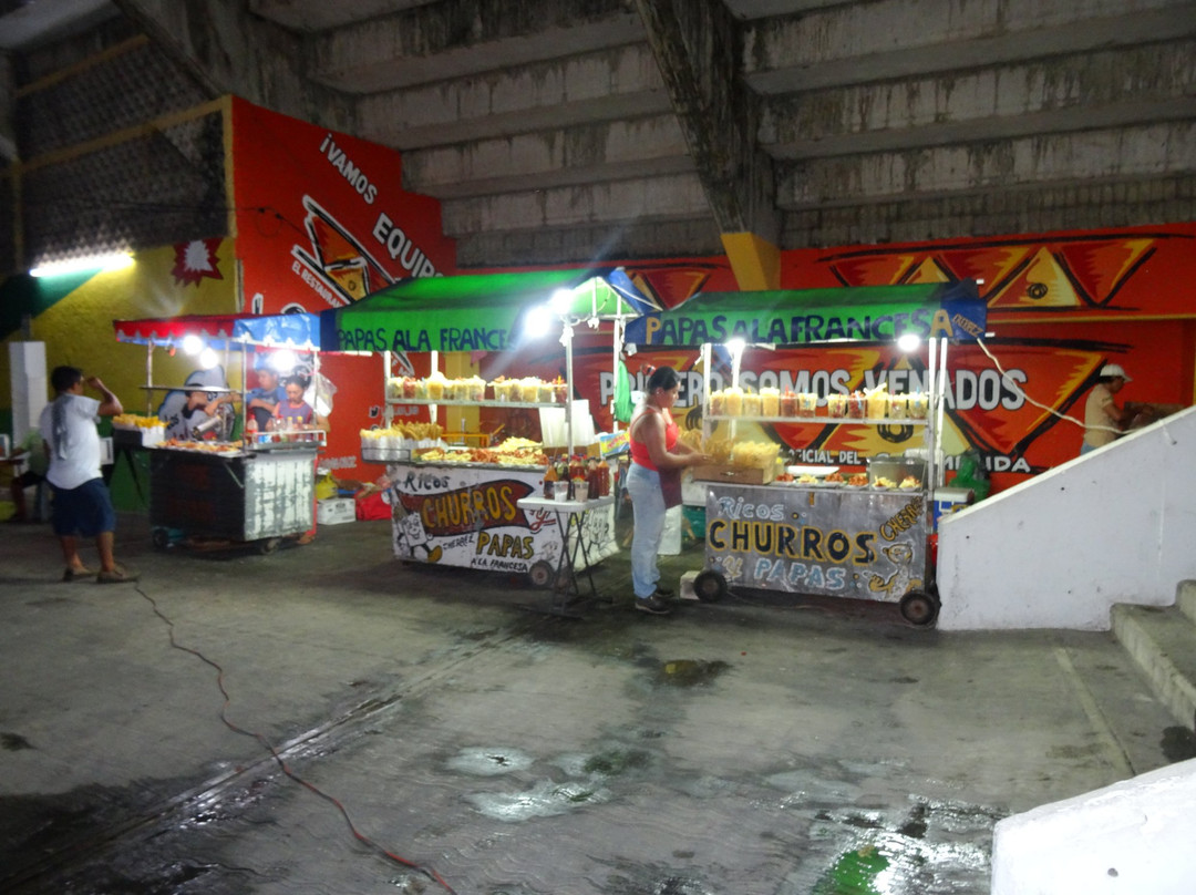 Estadio Carlos Iturralde-梅里达必去景点