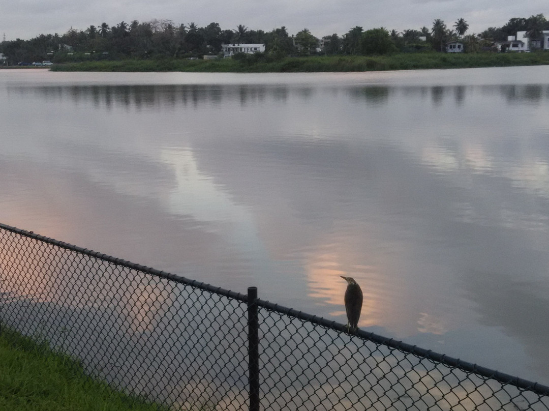 Weras Ganga Park-Boralesgamuwa必去景点