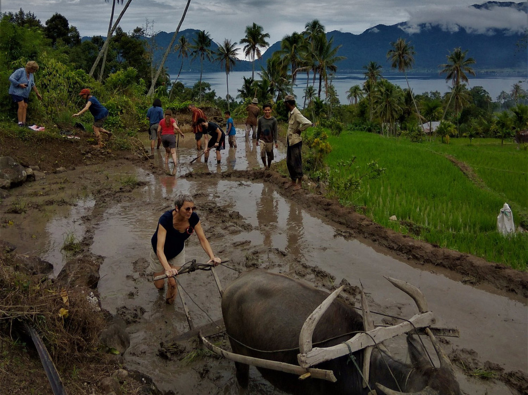 Roni’s Tours -sumatra Tour Guide-武吉丁宜必去景点