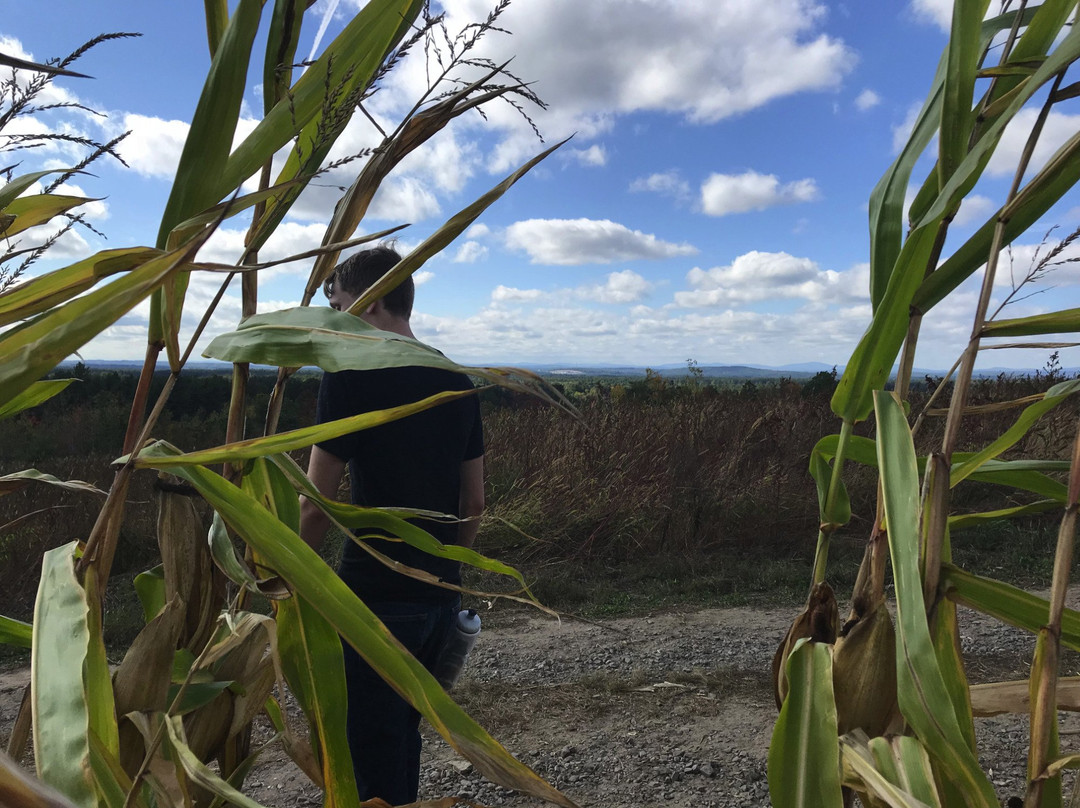 Elwood Orchards-Londonderry必去景点