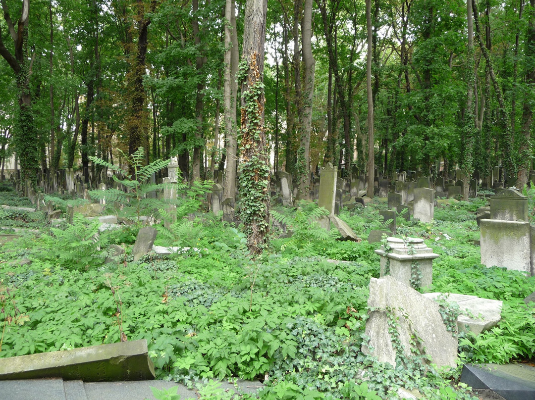 Judischer Friedhof Prenzlauer Berg景点图片
