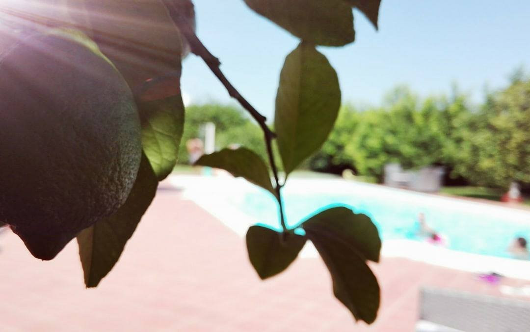 Agriturismo Limoneto-锡拉库扎必去景点