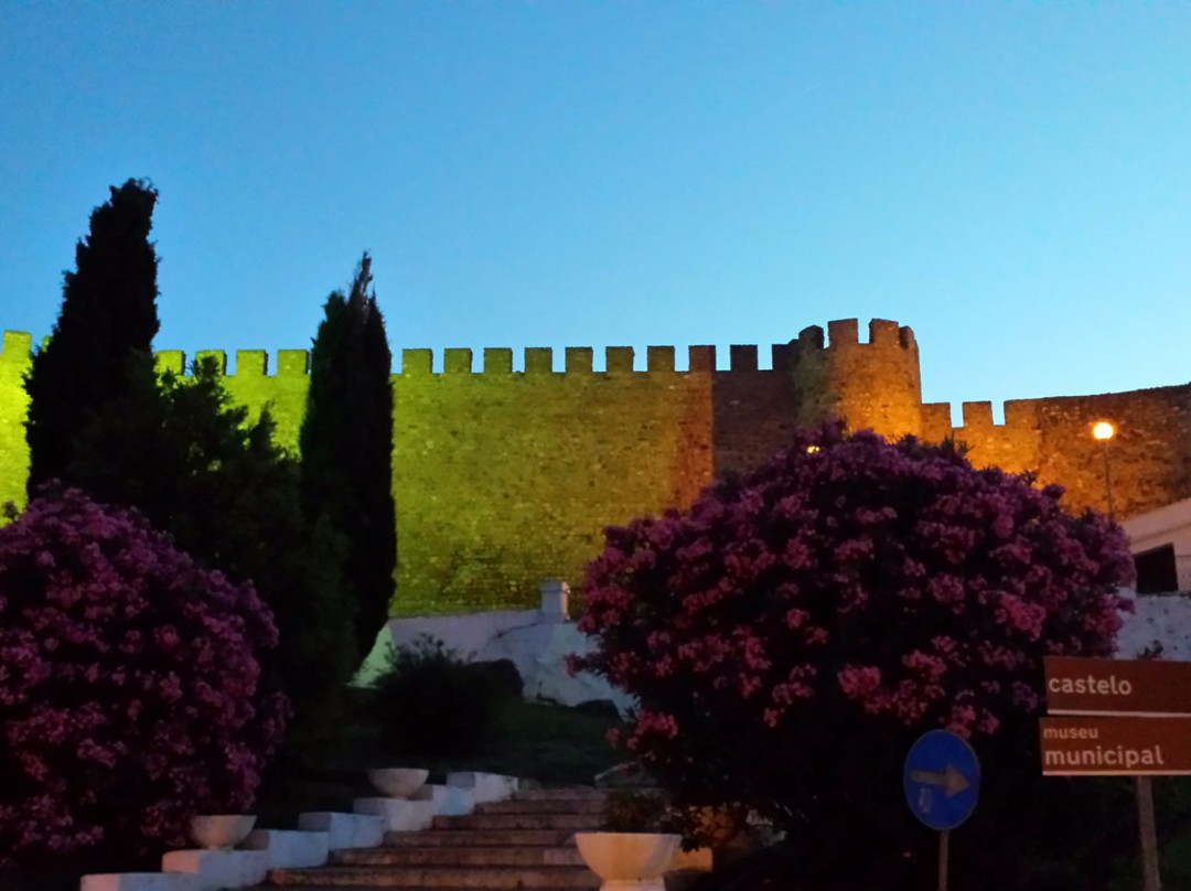 Castelo da Rainha Santa Isabel景点图片