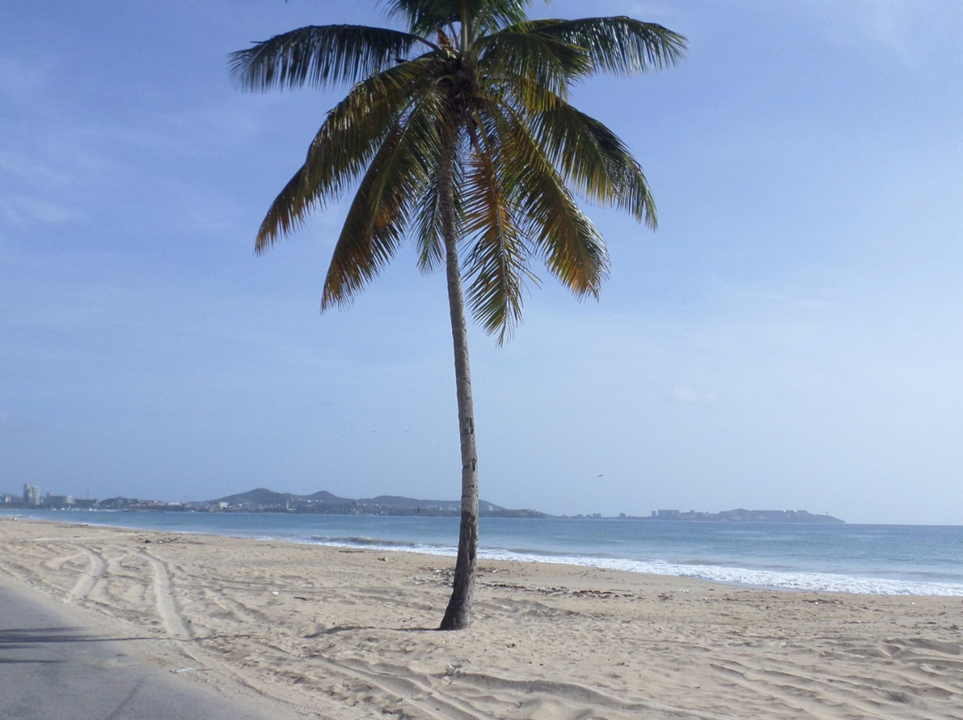 Playa La Caracola景点图片