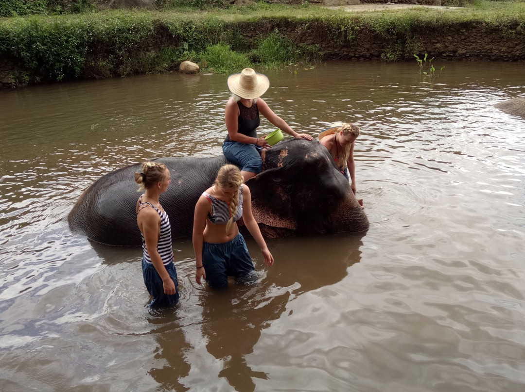 Baan Tung Lakorn Elephant Camp-夜登必去景点