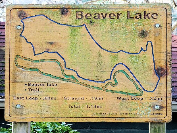 Beaver Lake-阿什维尔必去景点