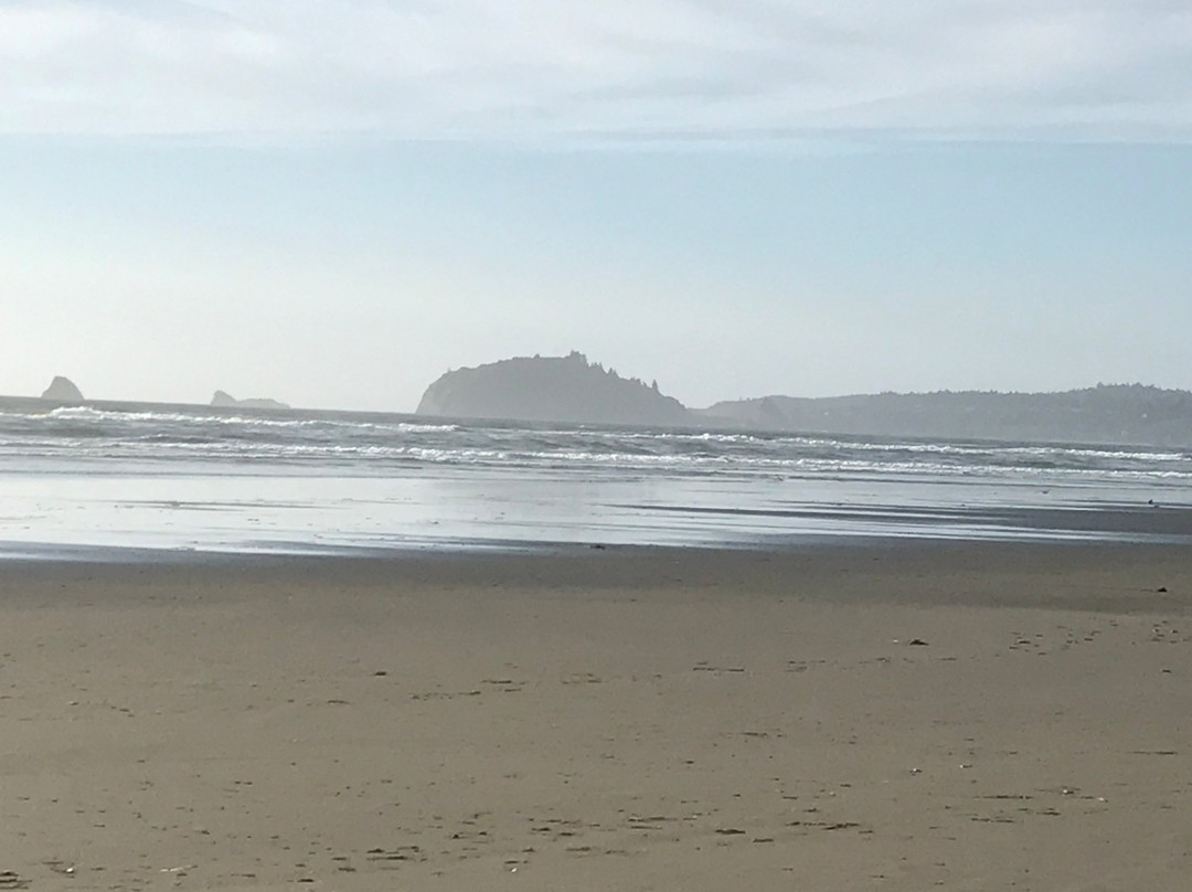 Clam Beach County Park景点图片
