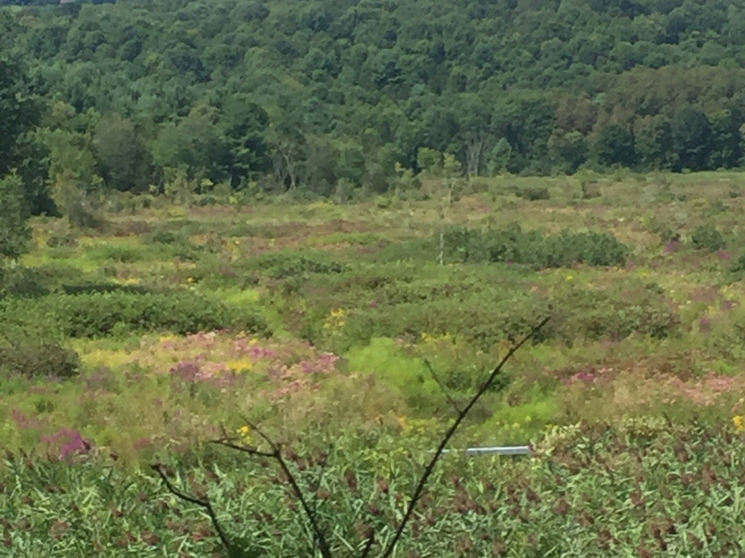 Harlem Valley Rail Trail-Millerton必去景点