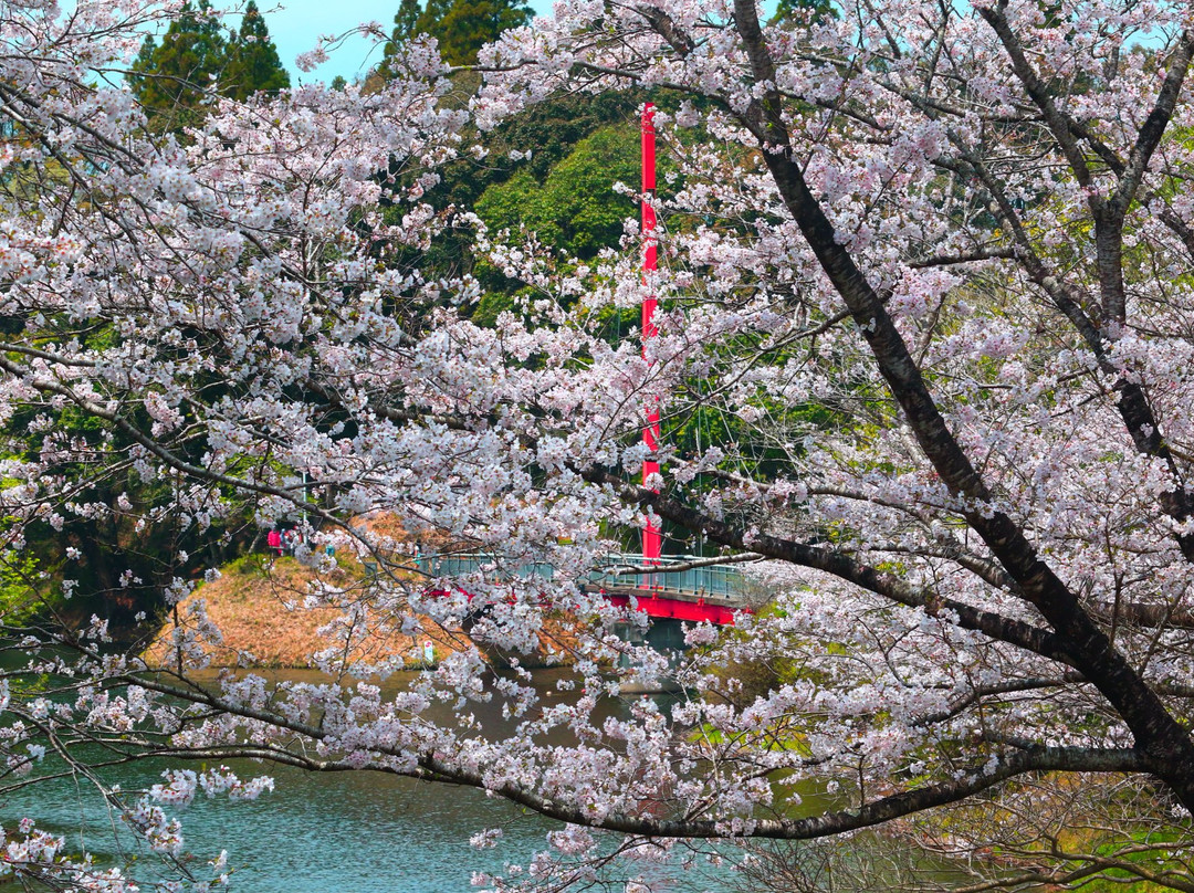 Kannonike Park-都城市必去景点