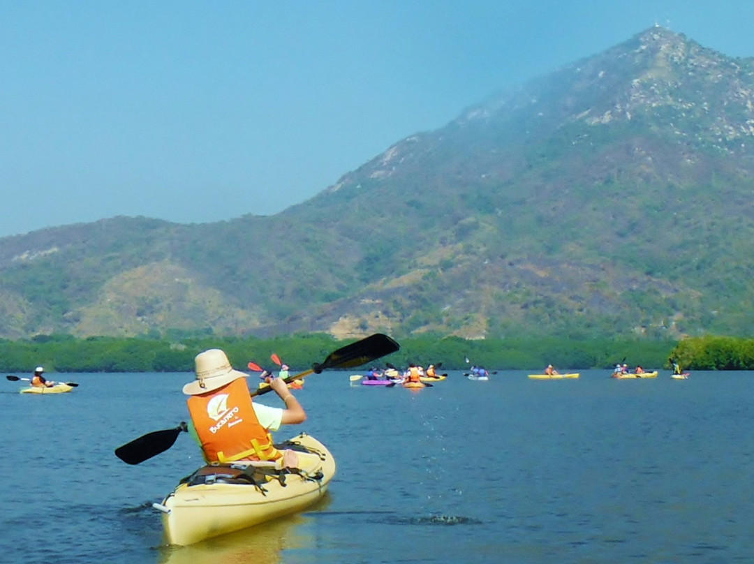 Kayak Manzanillo-曼萨尼约必去景点