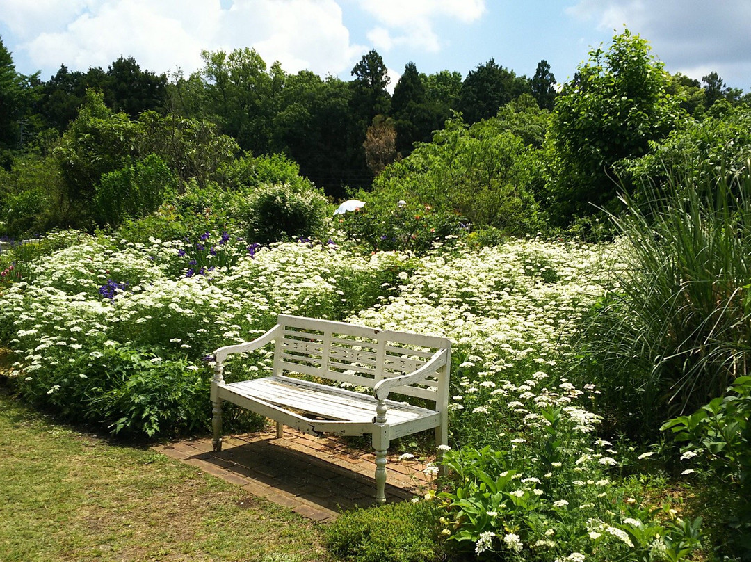 The Dreaming Place Rose Garden-君津市必去景点