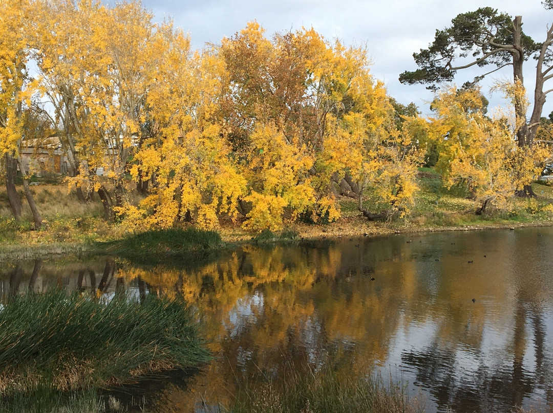Buninyong Botanic Gardens-Buninyong必去景点