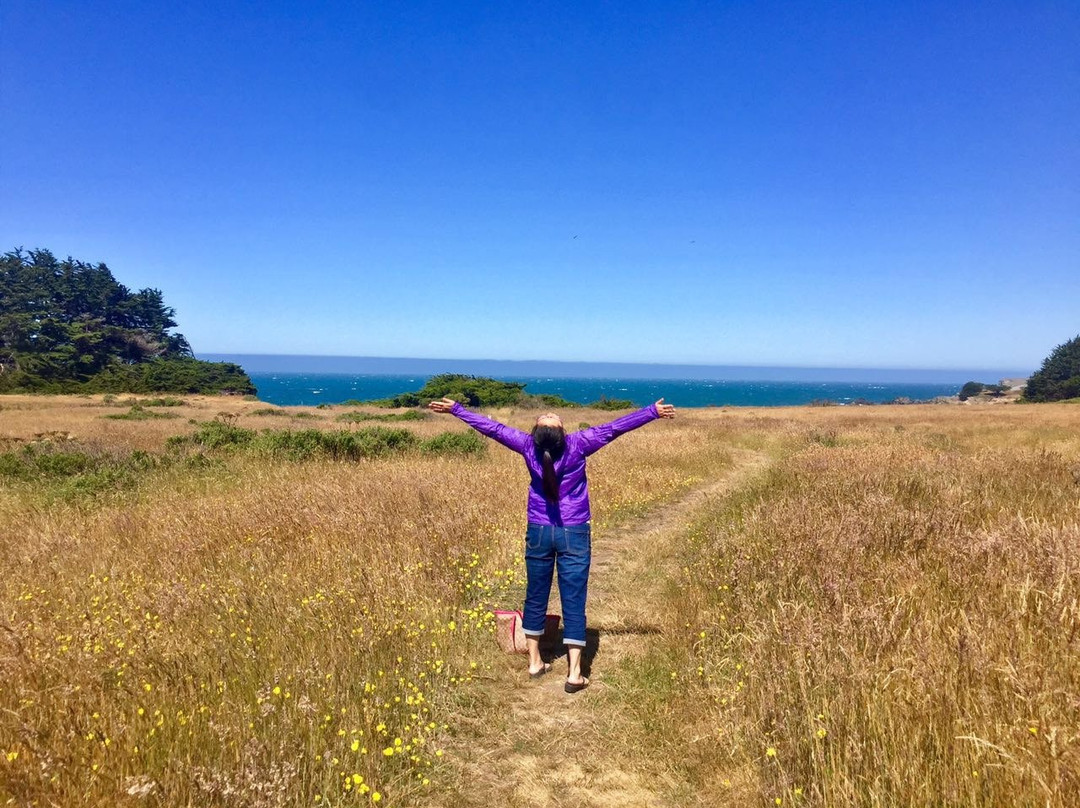 Walk On Beach Sea Ranch Access Trail-The Sea Ranch必去景点