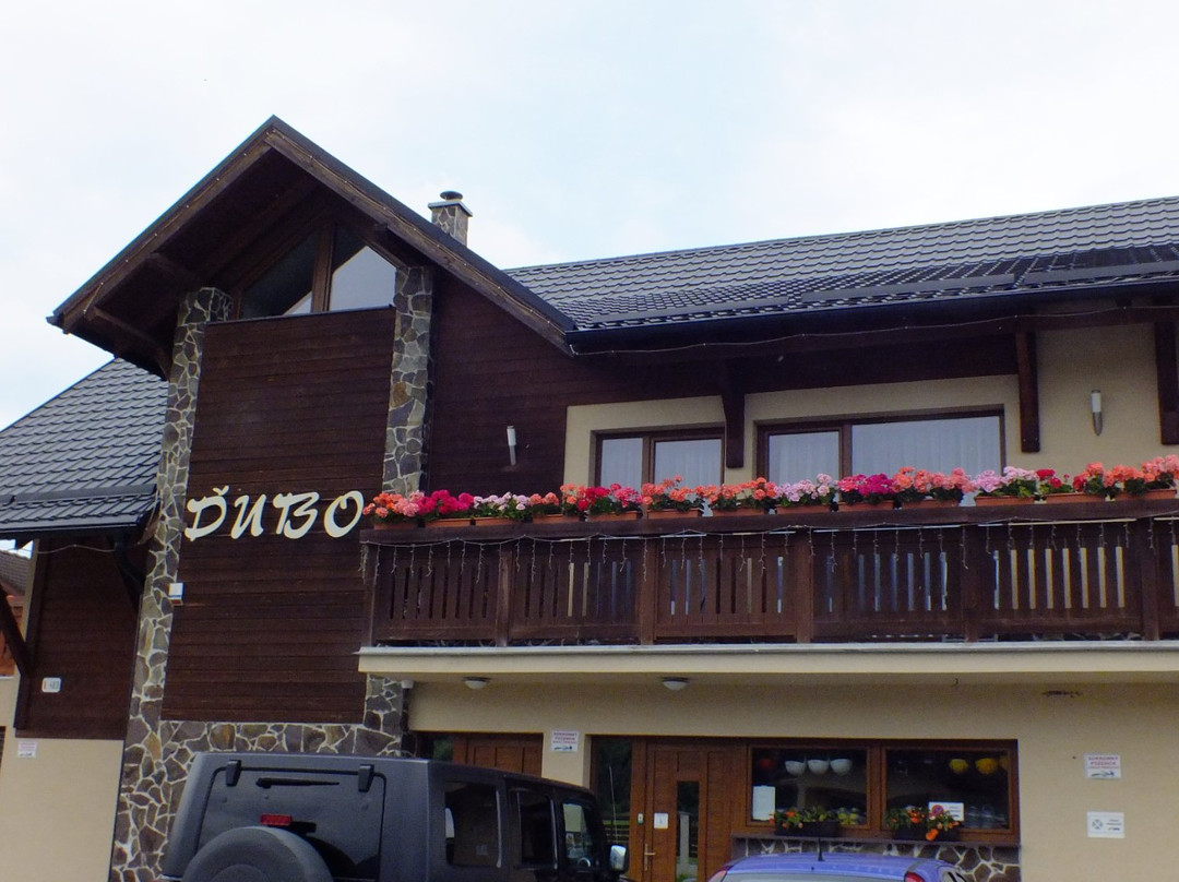 Galovany酒店住宿-Penzion Dubo