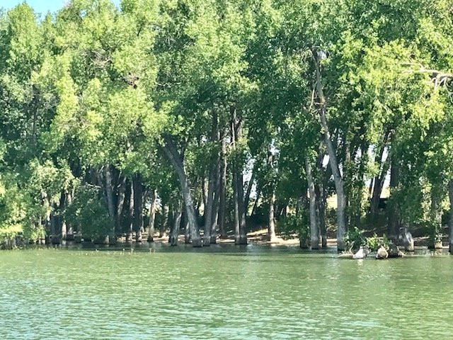 Lake Minatare-Scottsbluff必去景点