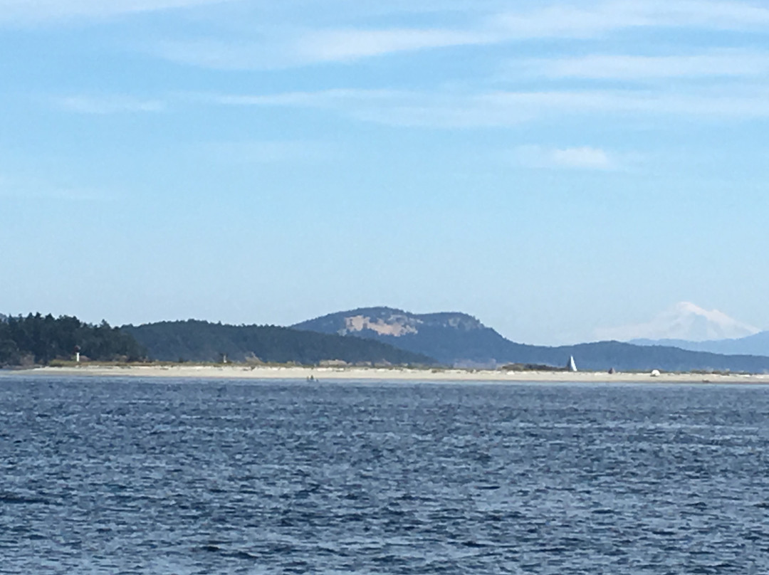 Sidney Spit Marine Park景点图片