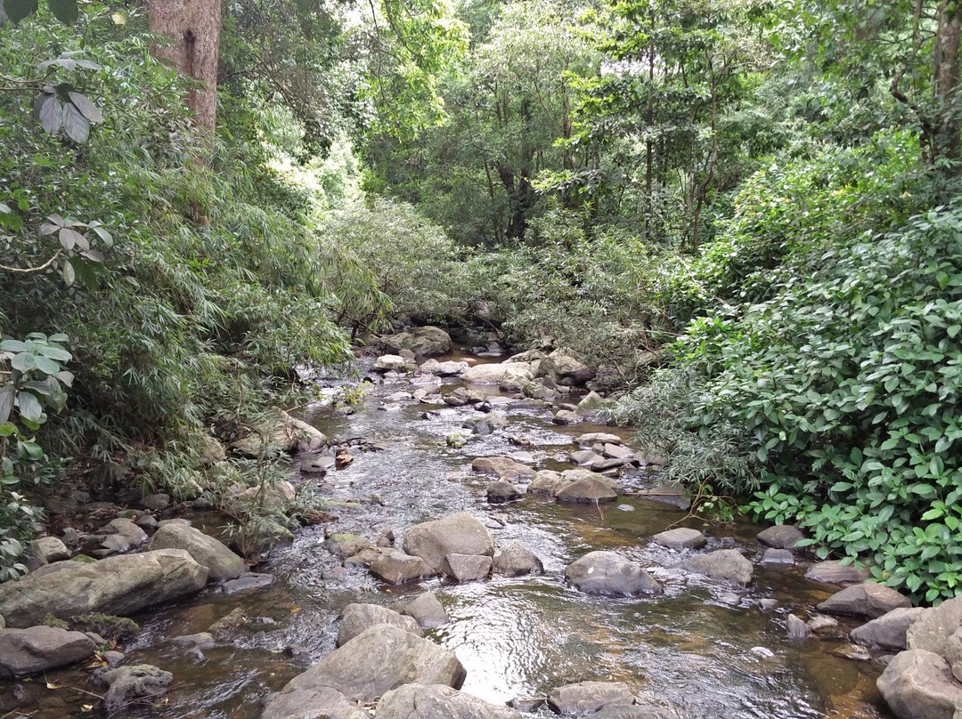 Irpu Falls (Lakshmana Tirtha Falls)景点图片