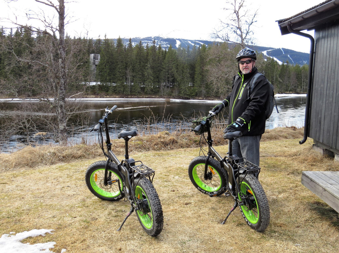 Smart Electric Fatbike Tours景点图片