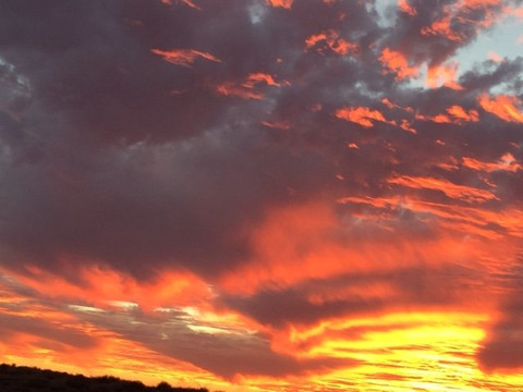 Arid Recovery-Roxby Downs必去景点