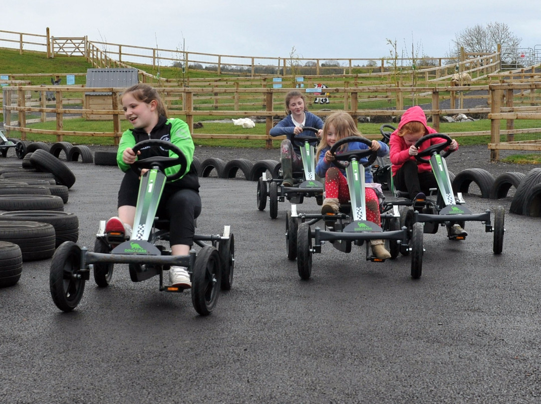 Mollie Moo's Pet Farm-Mullingar必去景点