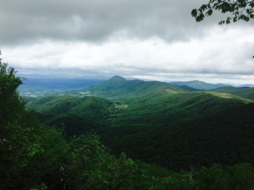 Elk Knob State Park景点图片