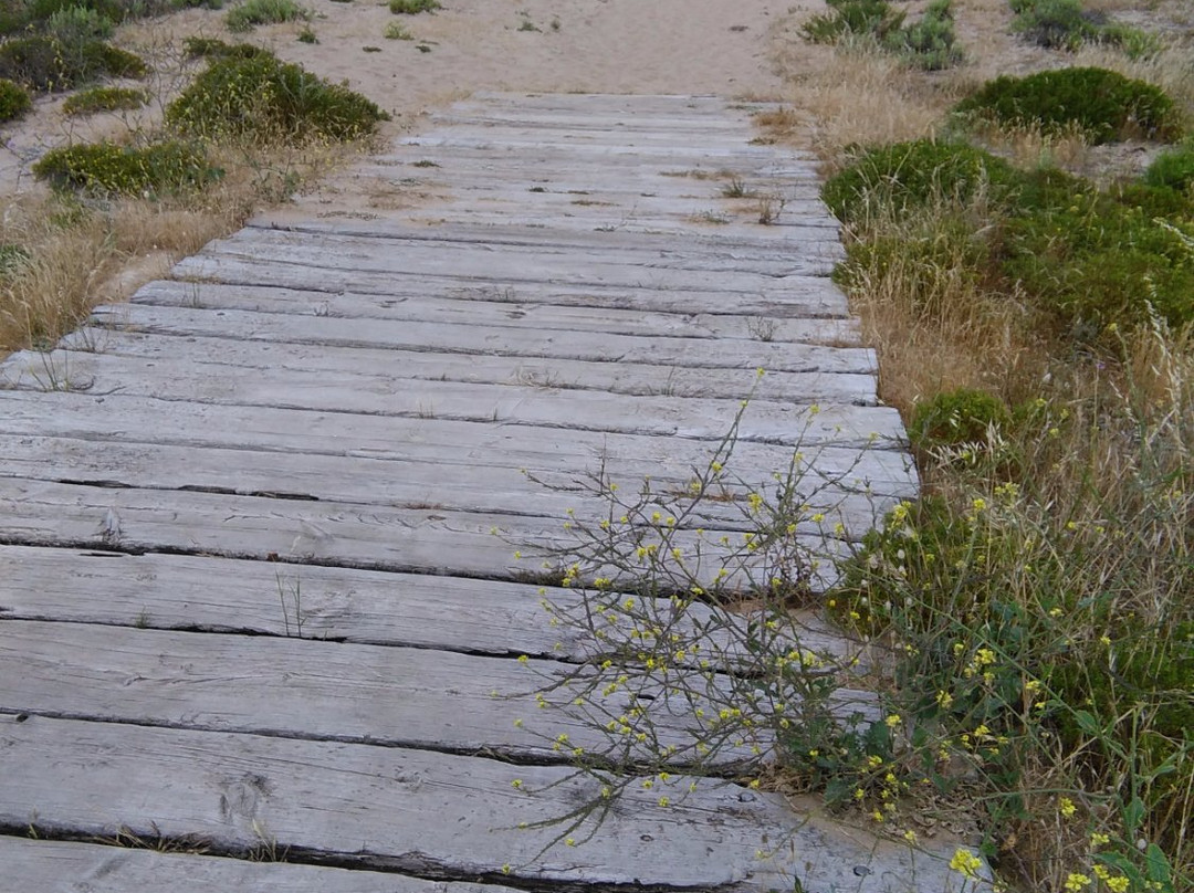 Passadiços da Baía de São Martinho do Porto-Sao Martinho do Porto必去景点