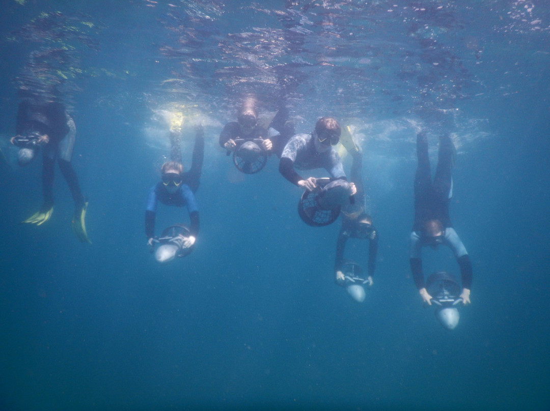 Sydney Underwater Scooter Tours-悉尼必去景点