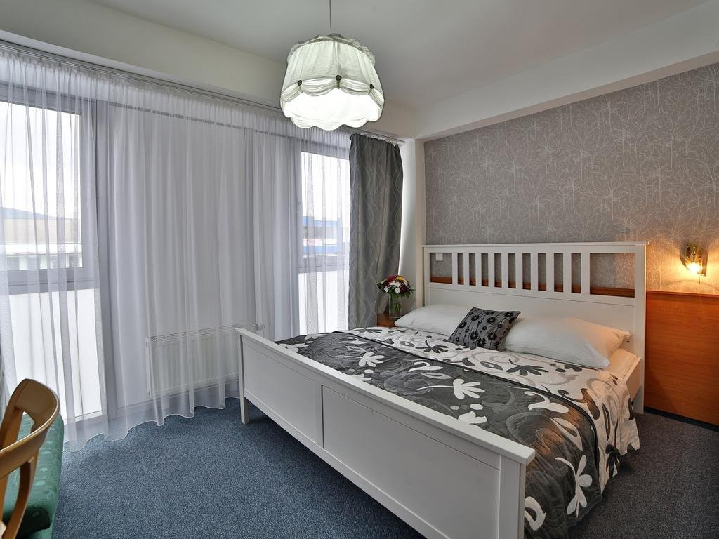 布拉迪斯拉发酒店住宿-Hotel Saris