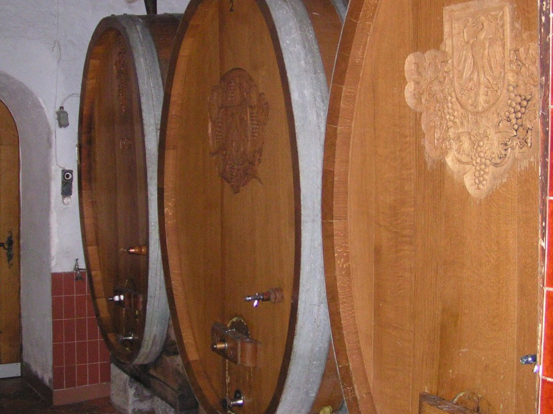 Domaine et Cave Christophe & Christine Bertholet景点图片