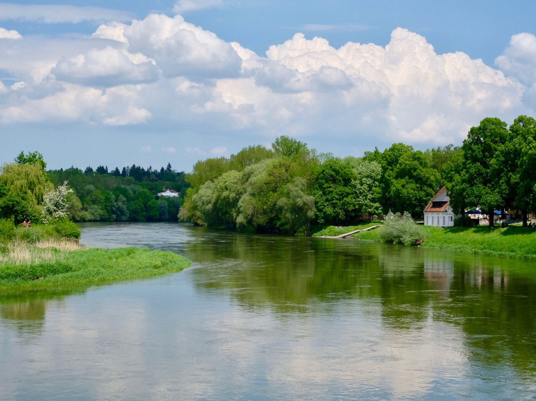 Donaukai景点图片