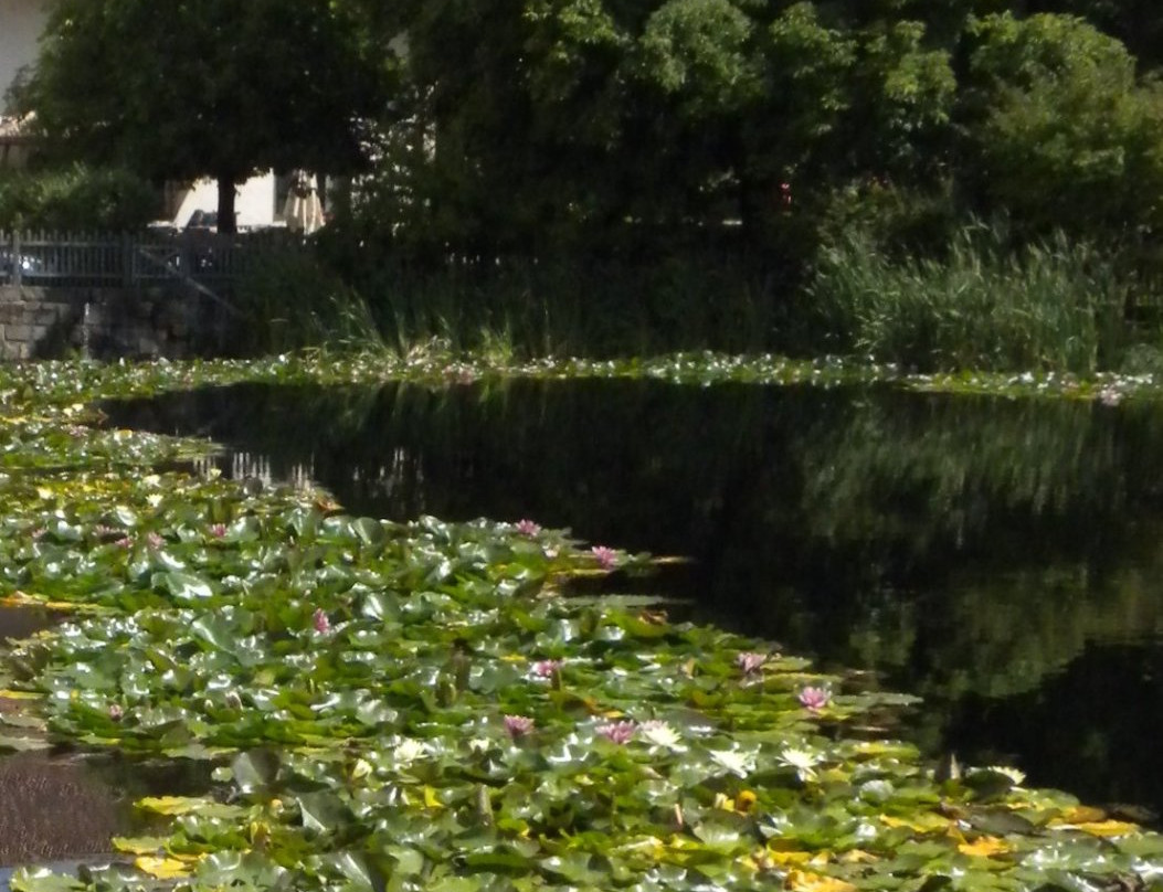 Associazione Turistica Renon-Collalbo必去景点