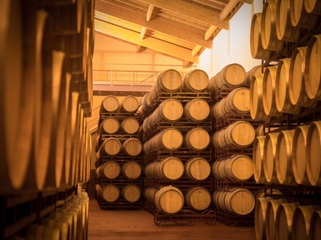 Bodegas Valdubón-Milagros必去景点