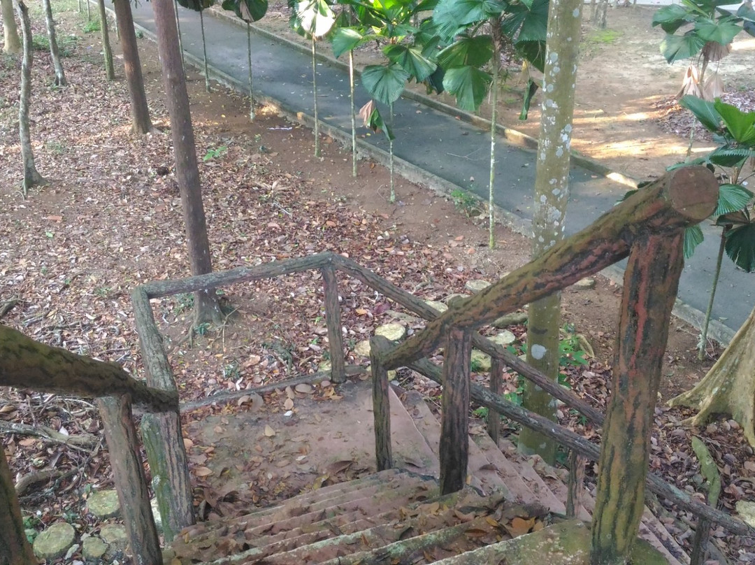 Melaka Botanikal Garden-爱极乐必去景点