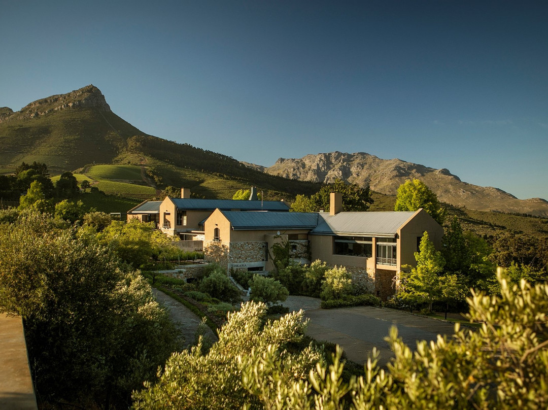 Tokara Wine Estate