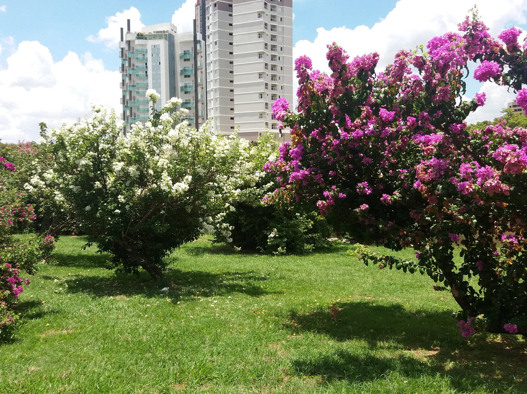 Praça Roque Torce Filho-因达亚图巴必去景点