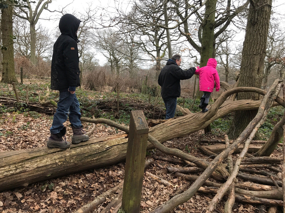 Parndon Wood Nature Reserve景点图片
