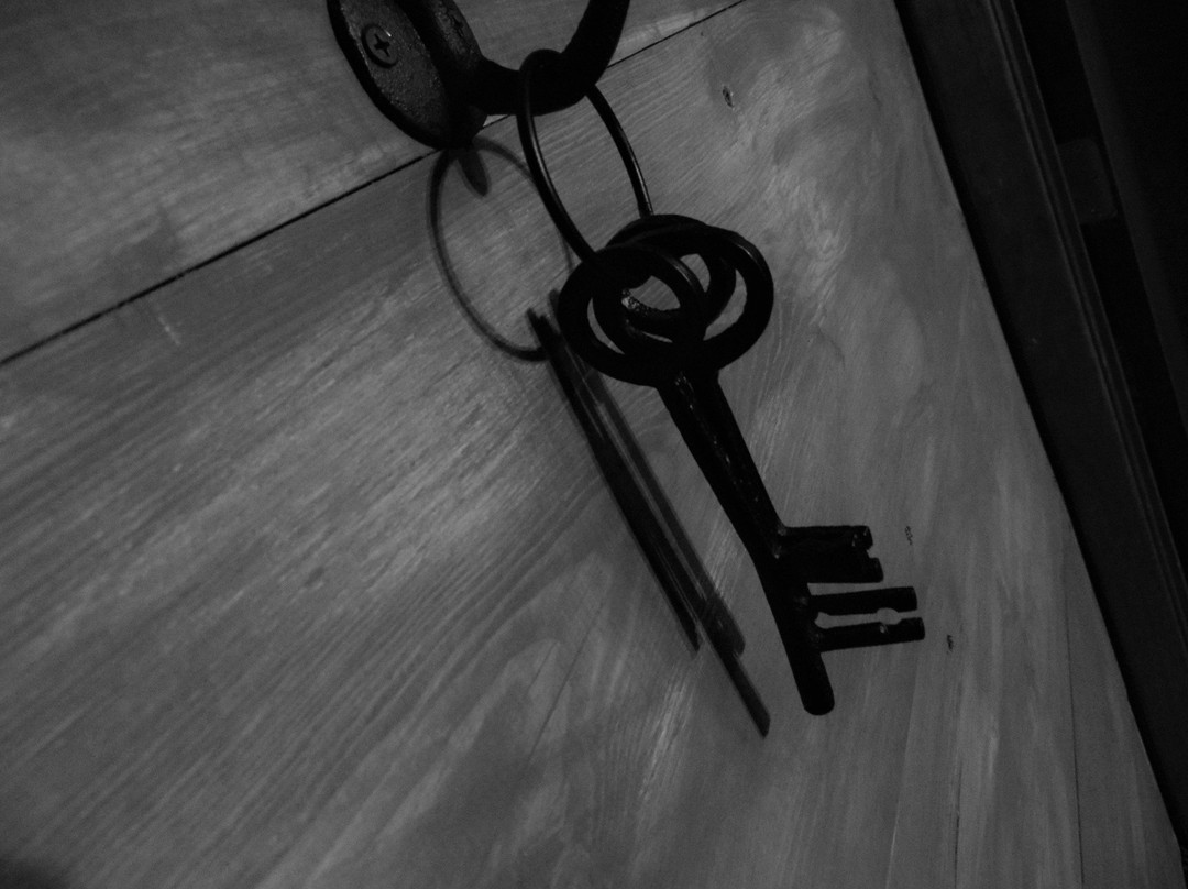 Puzzles-Buffalo必去景点