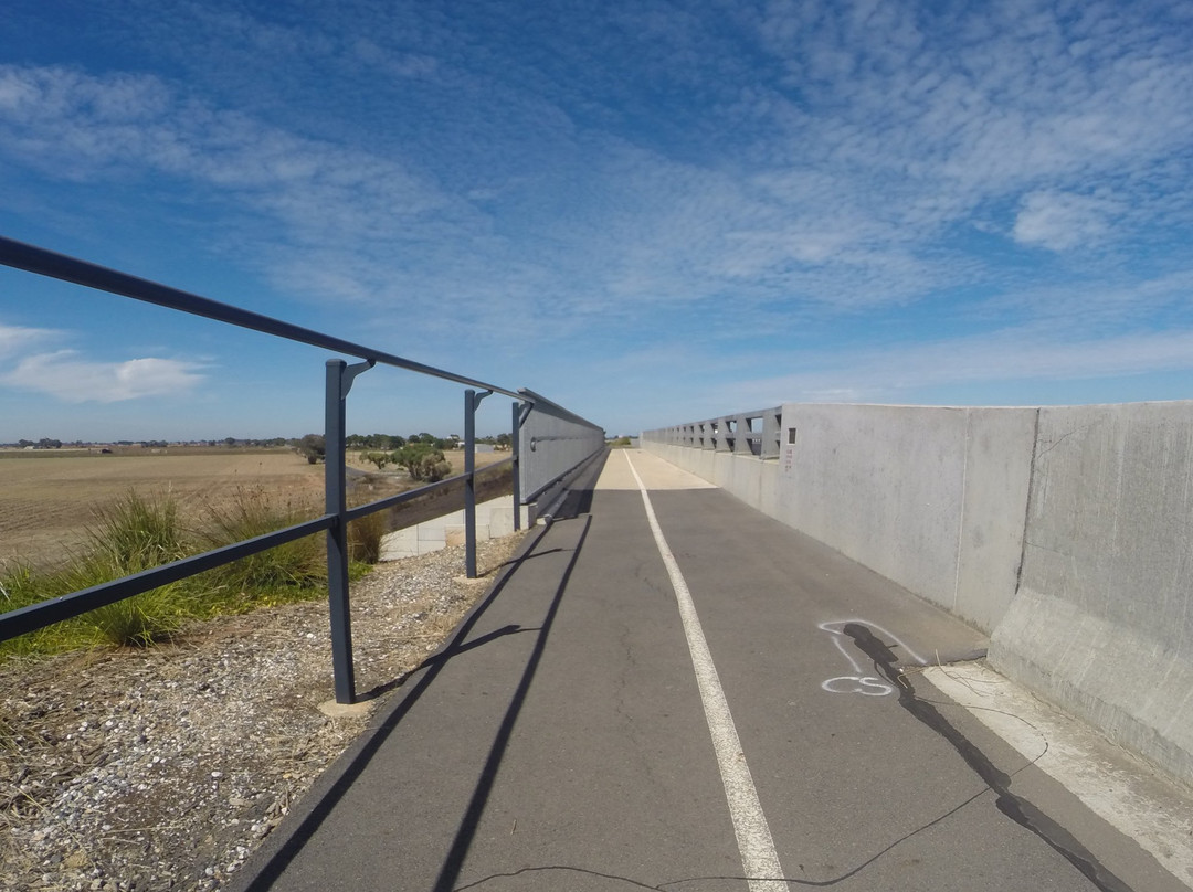 Stuart O'Grady Bikeway景点图片