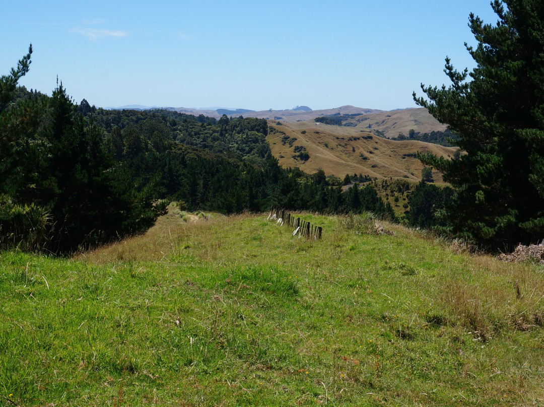 Mount Auckland Atuanui Walkway-奥克兰中心地区必去景点
