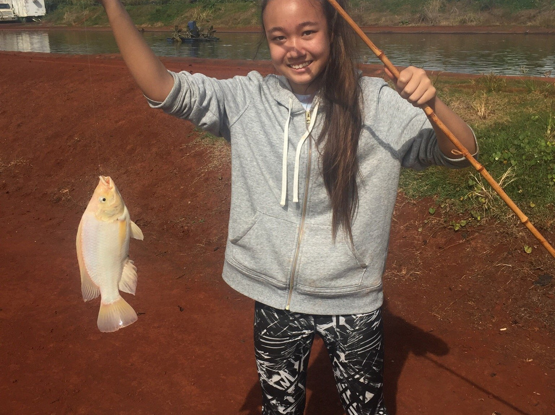 Ali'i Agriculture Farms-瓦西瓦必去景点