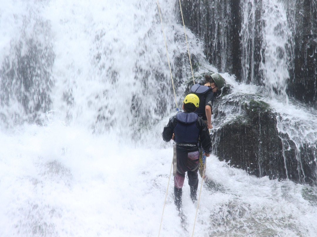Tartarugas-Santo Amaro da Imperatriz必去景点
