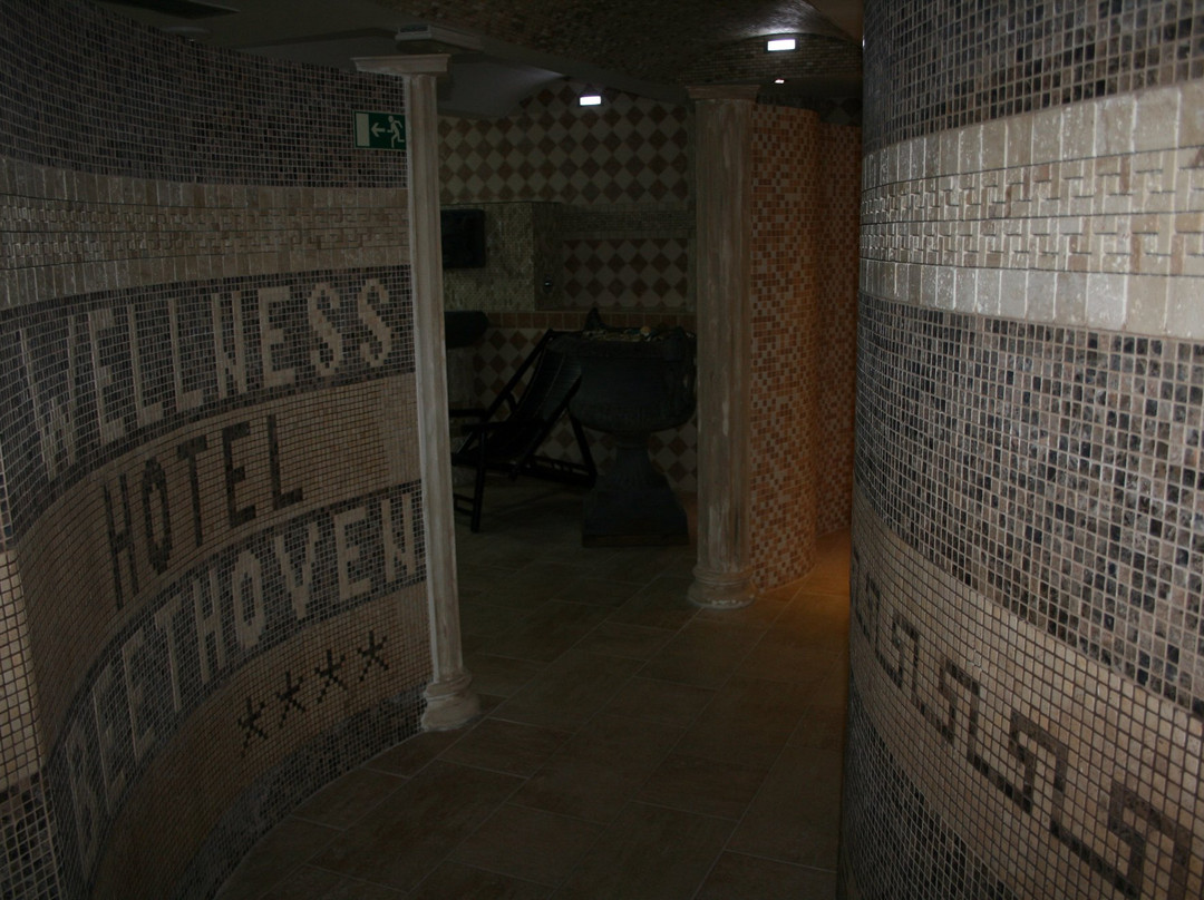 Wellness Hotel Beethoven主图