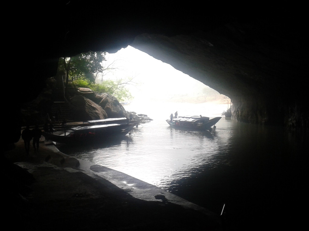 Phong Nha Daily Tours景点图片
