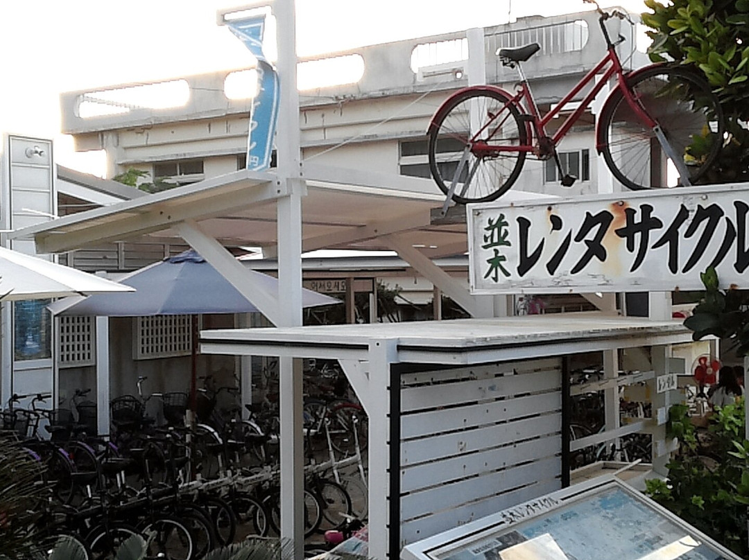 Namiki Rent-a-cycle-本部町必去景点